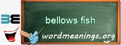 WordMeaning blackboard for bellows fish